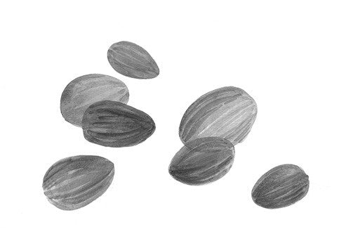 Sweet Almond Extract