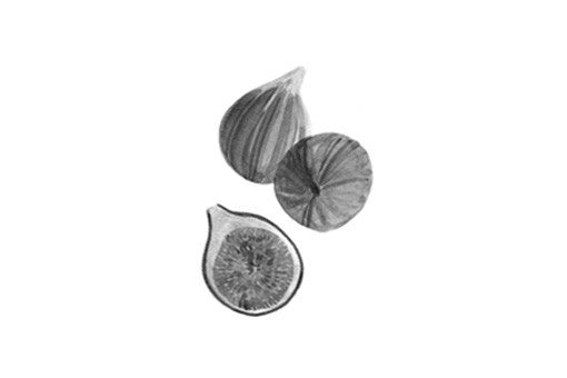 Provence Figs