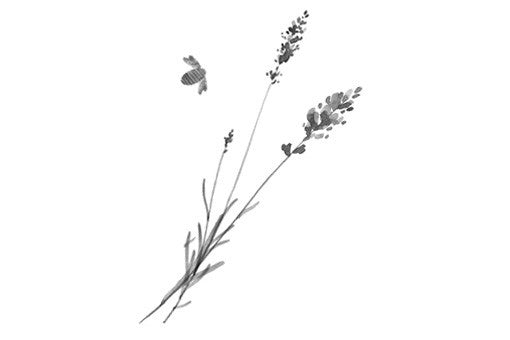 Provence Lavender Honey