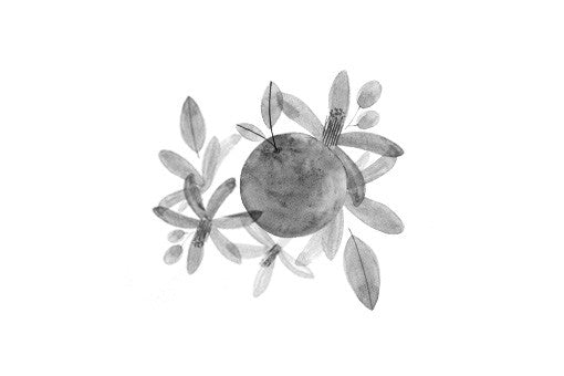 Neroli Lumière