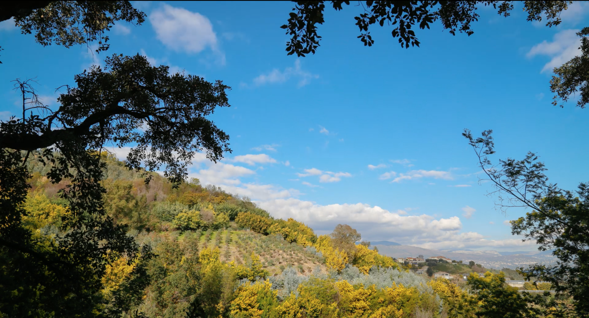 Landscape in Aix-en-Provence