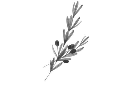 Bastide Provence Olive Oil